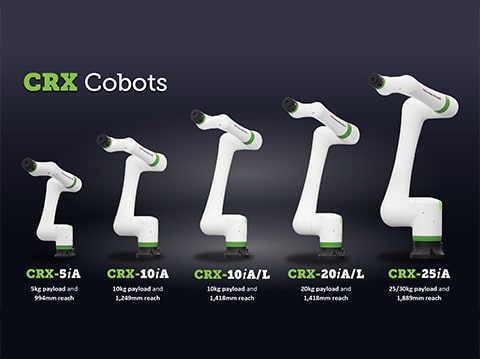 Pallet Utilization Systems